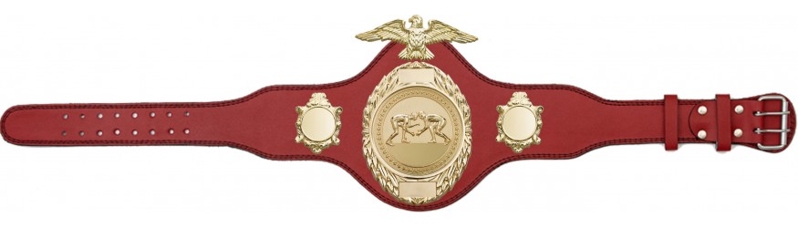 GRAPPLING CHAMPIONSHIP BELT-PLT288/G/GRAPG-4 COLOURS GRAPPLING CHAMPIONSHIP BELT-PLT288/G/GRAPG-4 COLOURS